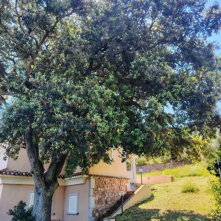 S'elighe Mannu Fermata di Enas