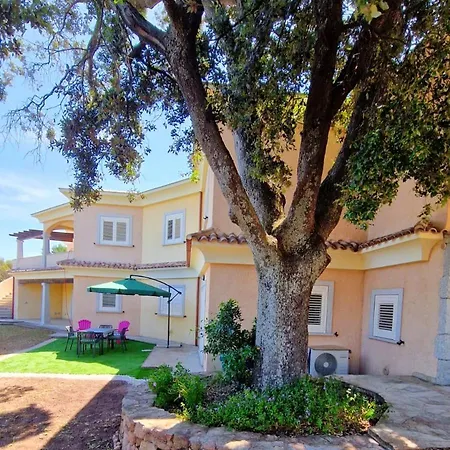 S'elighe Mannu Fermata di Enas